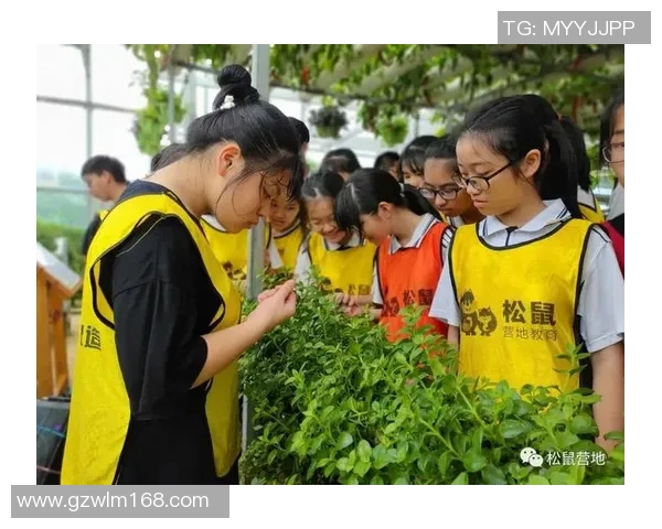 何思雨的成长之路：在风雨中绽放的青春故事与梦想追寻