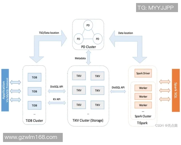 HTTP与8zwzcom的安全性对比分析及其对用户体验的影响探讨