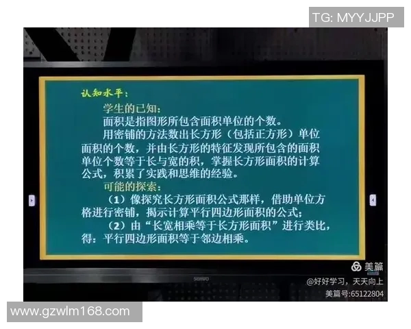 上海网球队运营分析:成功经验与面临挑战的深度探讨