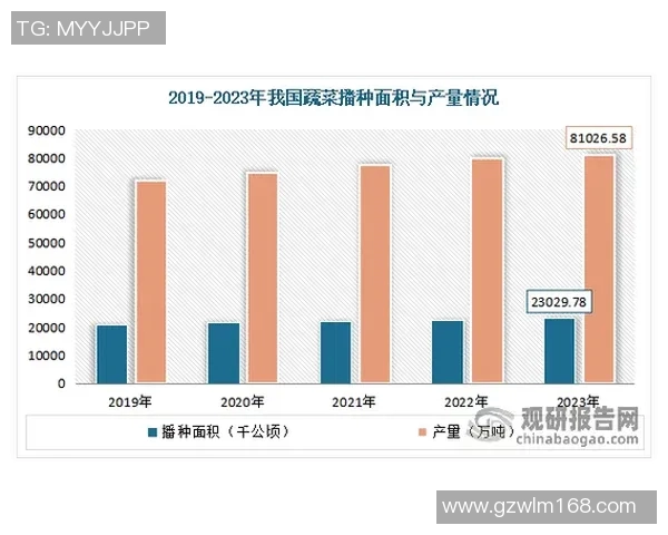 深入解析北京排球队近期状态表现与数据趋势分析